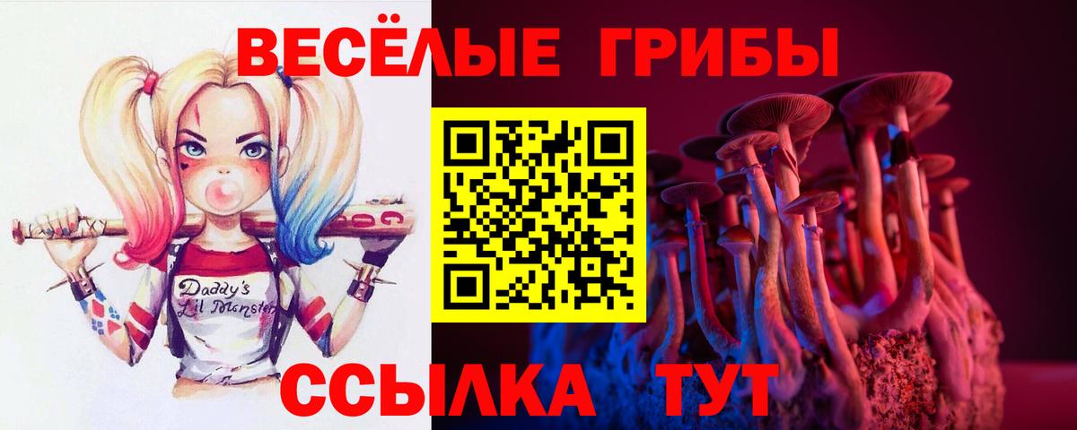 Галлюциногенные грибы Psilocybine cubensis  Галлюциногенные грибы Cubensis  Вход с VPN  Заволжье 